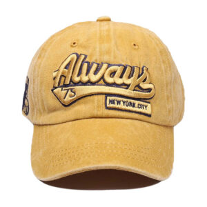 ALW Denim cap